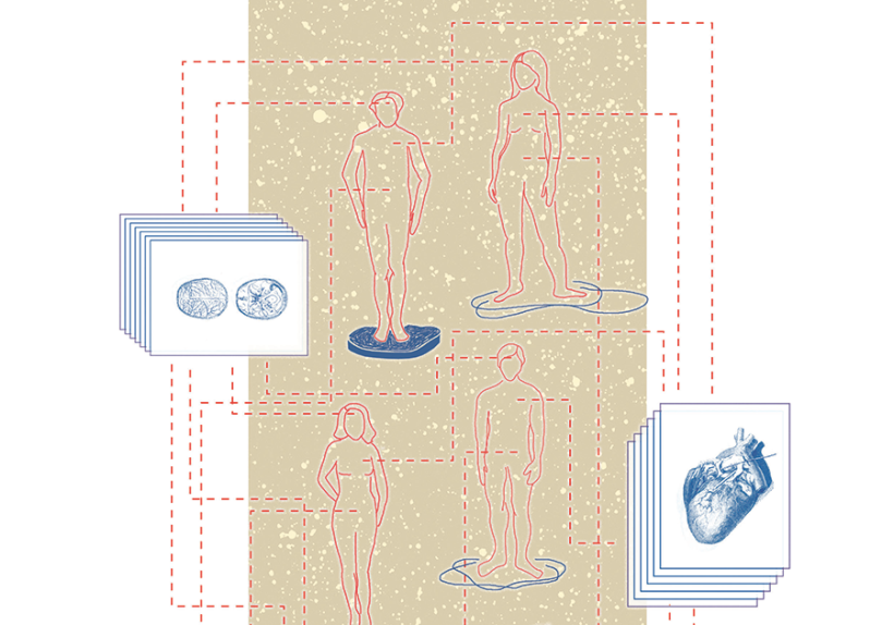 Illustration: Juliana Toro Suarez Illustration: Juliana Toro Suarez