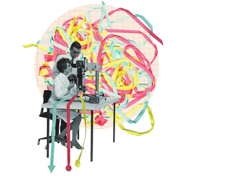 Illustration: Luisa Jung  by Marsha Heyer Illustratoren