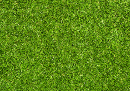 GRAS