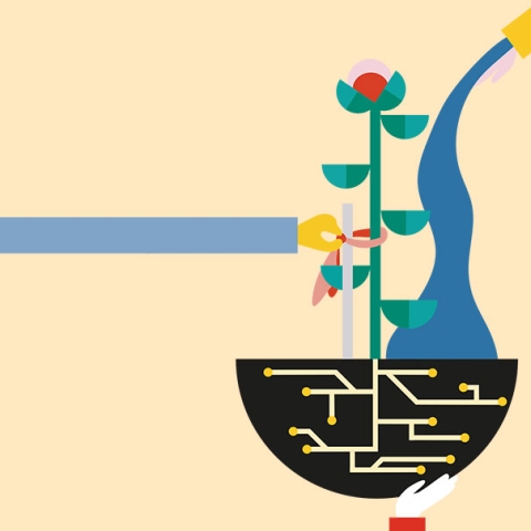 Illustration: Sophia Hummler