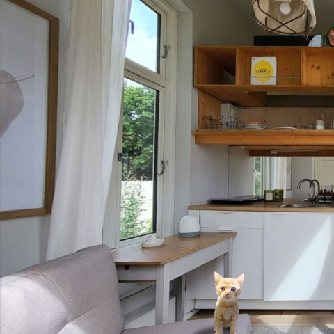 Wohnen wie im Tiny House: Bei der Gemeinwohlbau entstehen Mietwohnungen ab 330 Euro. Foto: Tiny Foundation