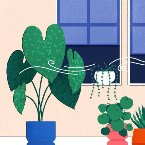 Illustration: Malcolm Fisher 
