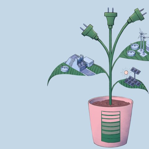 Illustrationen: Nadine Schmidt