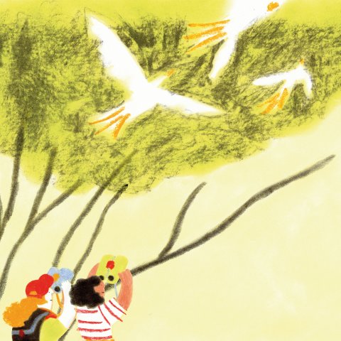 Illustrationen: Andrea Wandinger, andreawandinger.com