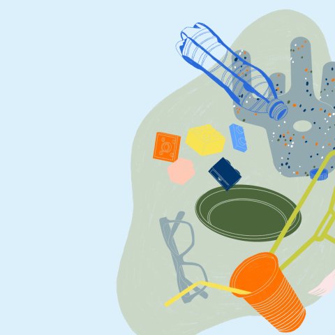 Illustrationen: Ingeborg Schindler ingeborgschindler.com
