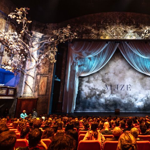 Ein Abend voller Magie im Theater am Potsdamer Platz.