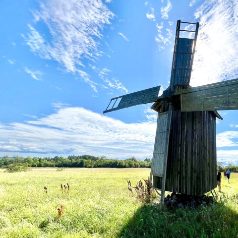 Unterwegs auf der Insel Saarnaki – Impression der schulz aktiv reise „Inseln im Aufwind“ vom Sommer 2024