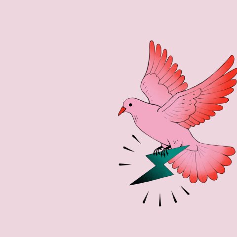 Illustrationen: Nadine Schmidt