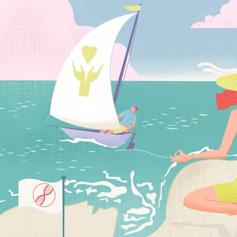Illustrationen: Josephine Warfelmann, linktr.ee/Freuleinwunder