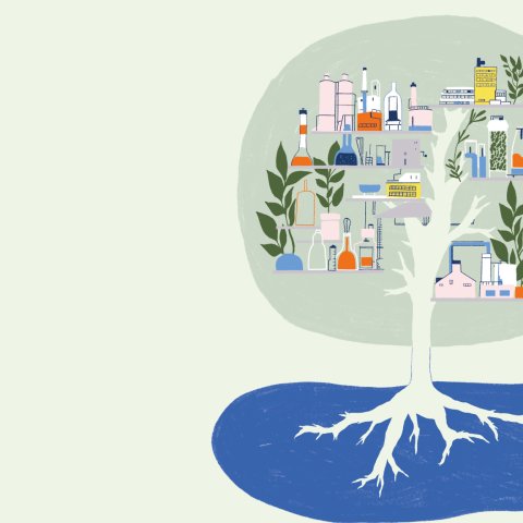 Illustrationen: Ingeborg Schindler ingeborgschindler.com