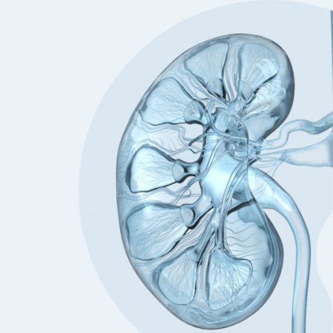 © Adobe Stock / Axel Kock