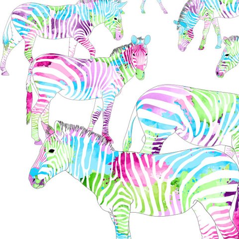 Das Zebra ist das internationale Symboltier für die seltenen Erkrankungen. Mit der Aktion #colourUp4RARE wird das Symbolbild bunt eingefärbt und rückt die Seltenen in den Fokus.
