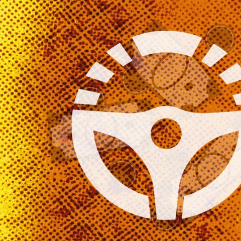 Teurer Führerschein