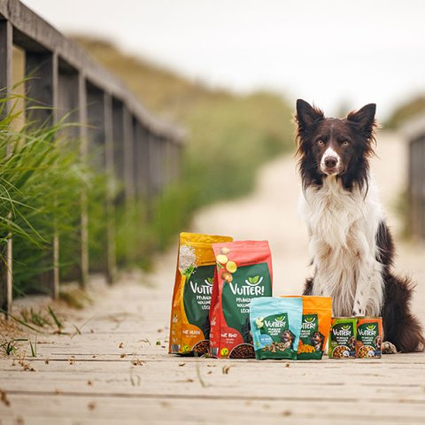 Green Plant Petfood GmbH