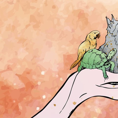 Illustration: Hanna Kaps