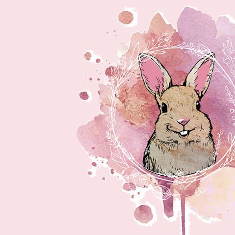 Illustration: Hanna Kaps