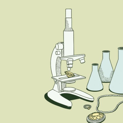 Illustrationen: Gemma Portella