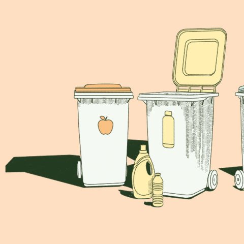 Illustration: Gemma Portella