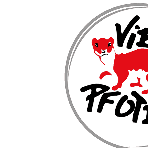 Vier Pfoton Logo